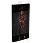 Бодистокинг Noir Handmade F237 Long tulle overall - XL