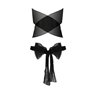 Комплект білизни Passion AMORE SET black, стрінги і ліф у вигляді подарункової стрічки з бантом EL14701 Passion (Польща) фото...