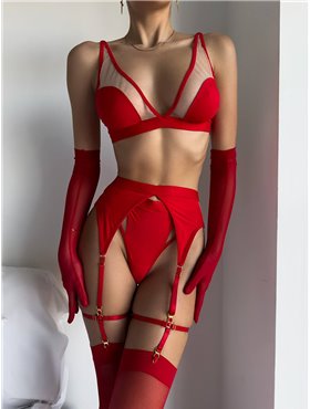 Еротичний комплект з сіточкою, гартери, пояс у комплекті 222/39-S Domino фото - Luxbikini