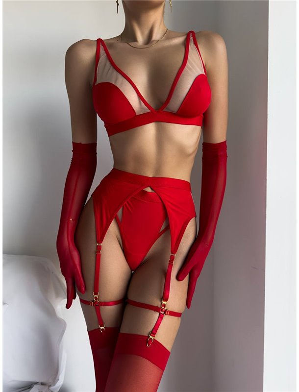 Еротичний комплект з сіточкою, гартери, пояс у комплекті 222/39-S Domino фото - Luxbikini