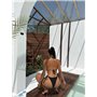 Класичний жіночий купальник з парео 2941/35-S Domino фото - Luxbikini